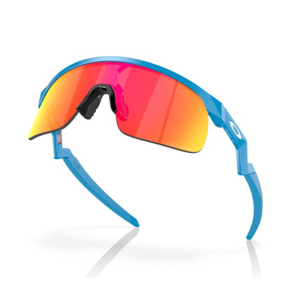 Oakley Sunglasses Resistor - Image 4