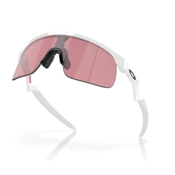Oakley Sunglasses Resistor - Image 7