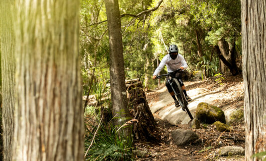 Polygon Collosus N8e