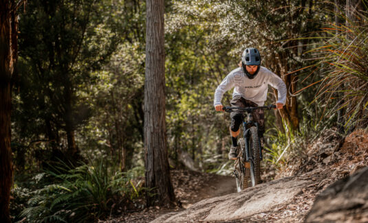 Polygon Collosus N8e