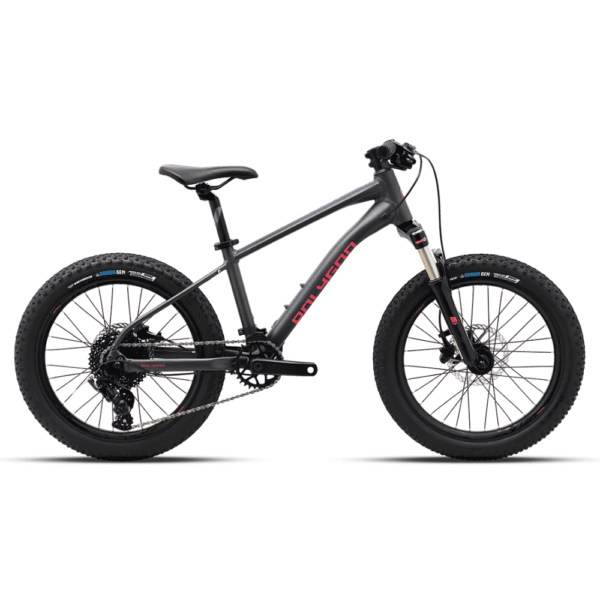 Polygon Xtarada 20 Polygon Xtarada 20