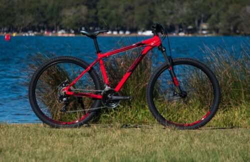 DSC07535-535x325 DSC07535-535x325