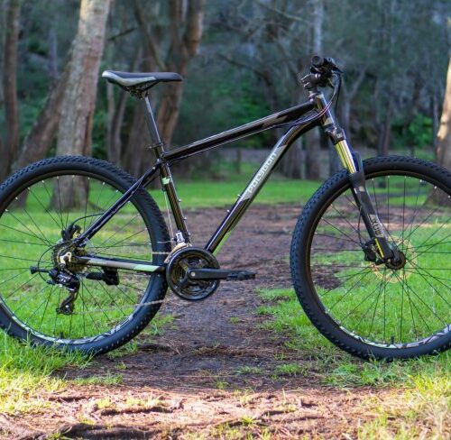 DSC07390-scaled-803x488 (1) DSC07390-scaled-803x488 (1)